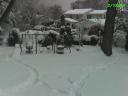 Snow Day Shot